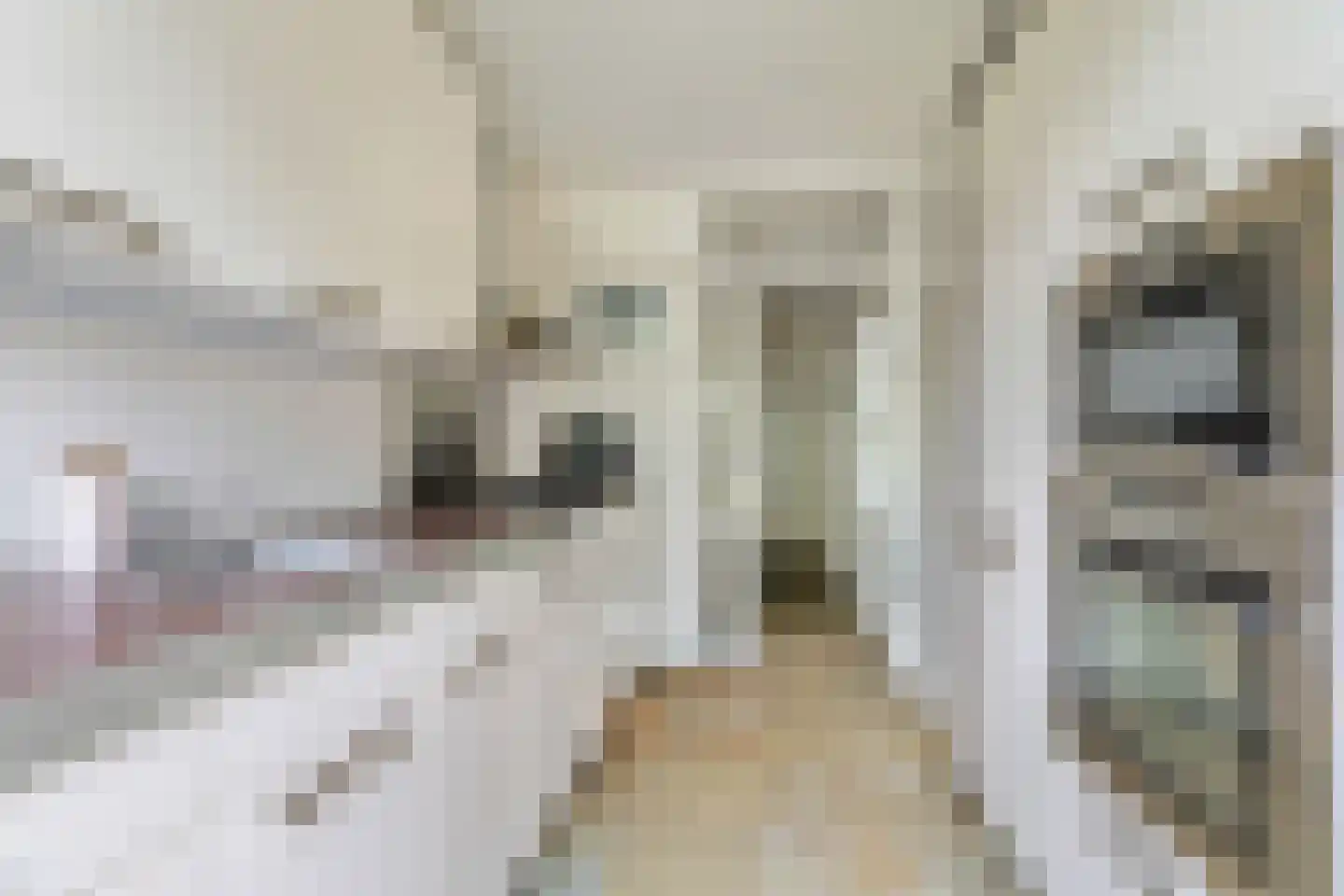 Hillenraadstraat 44 Breda thumbnail 16