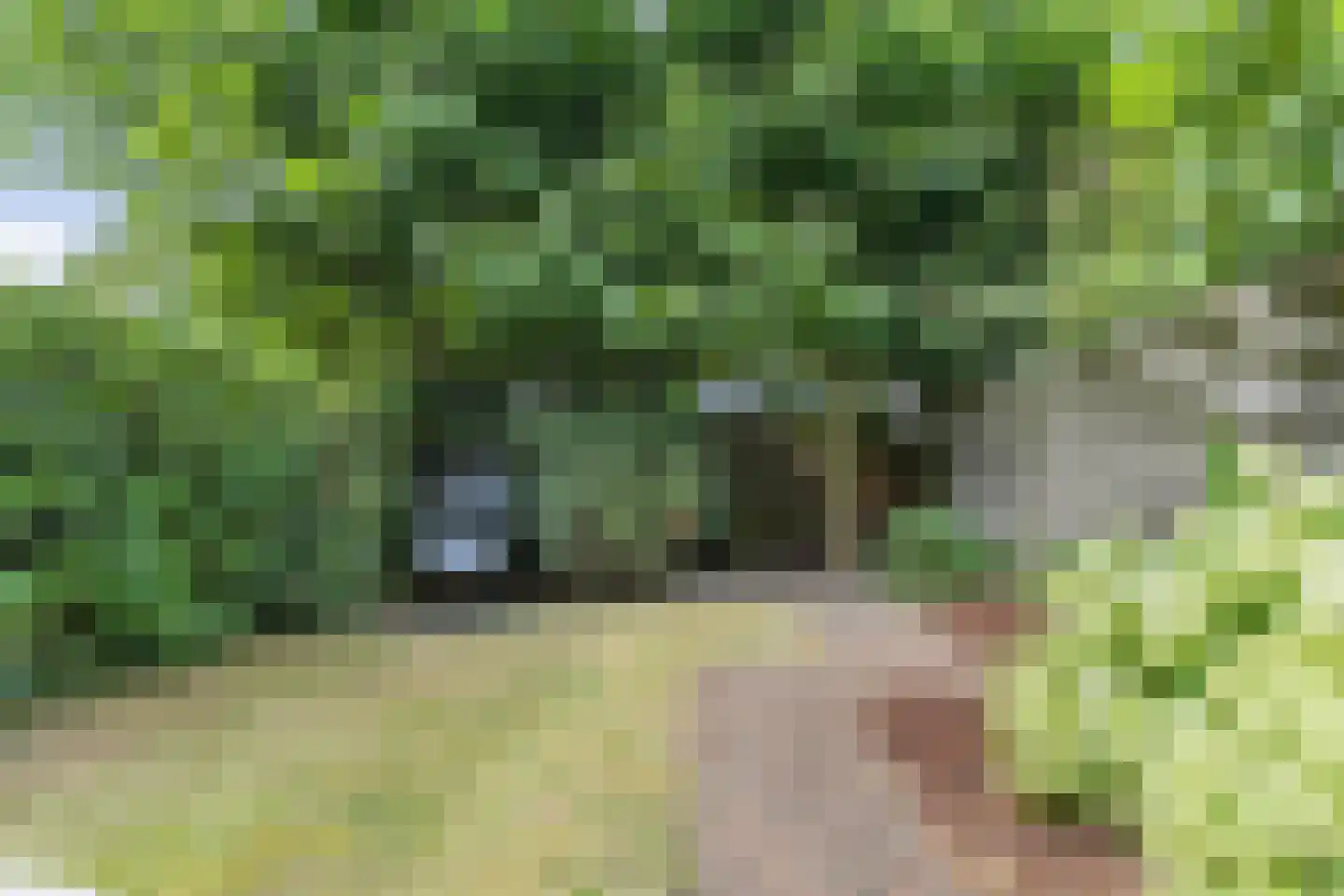 Hillenraadstraat 44 Breda thumbnail 29