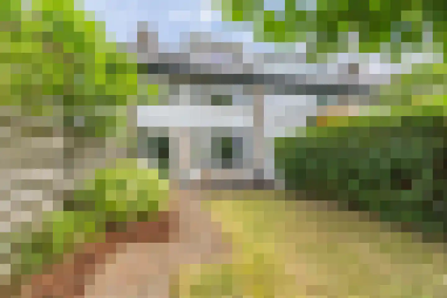Hillenraadstraat 44 Breda thumbnail 30