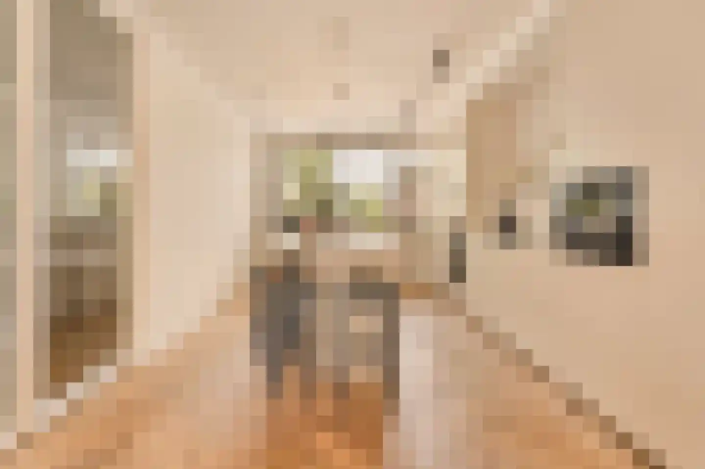 Hillenraadt 32 Amsterdam thumbnail 14