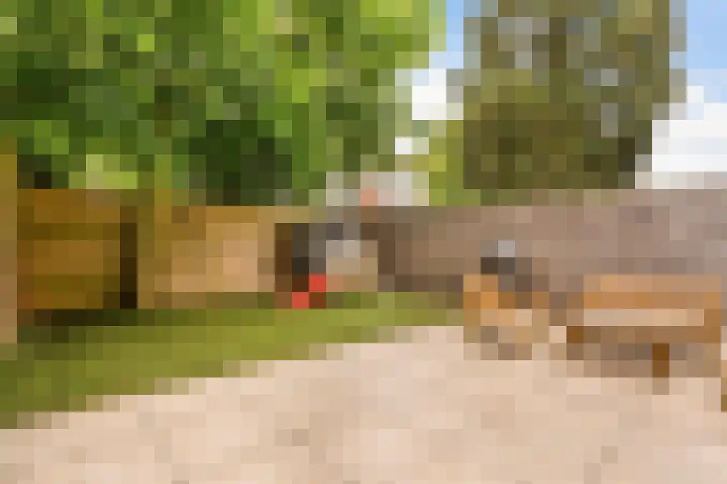 Hillenraadt 32 Amsterdam thumbnail 24
