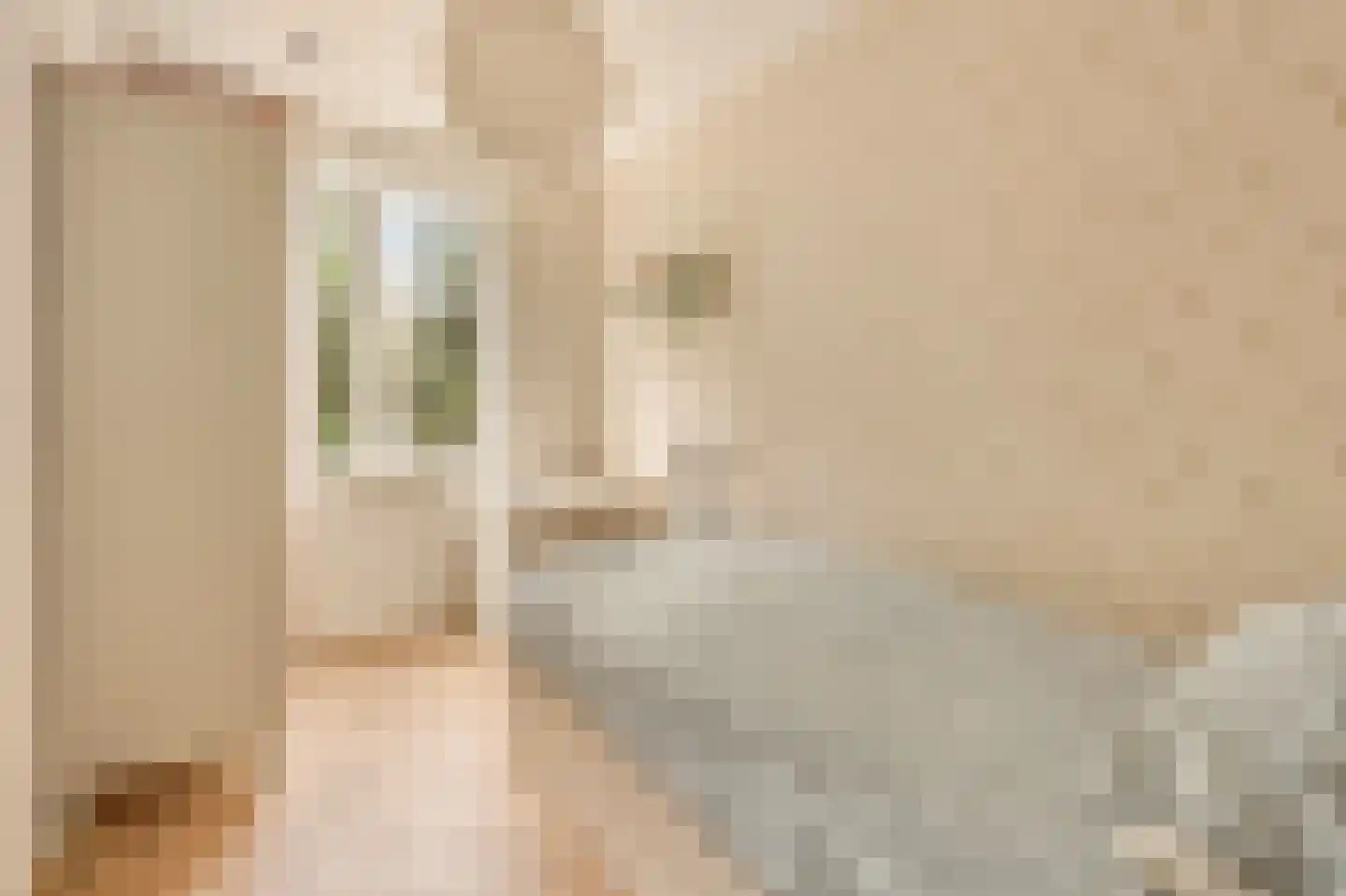 Hillenraadt 32 Amsterdam thumbnail 33