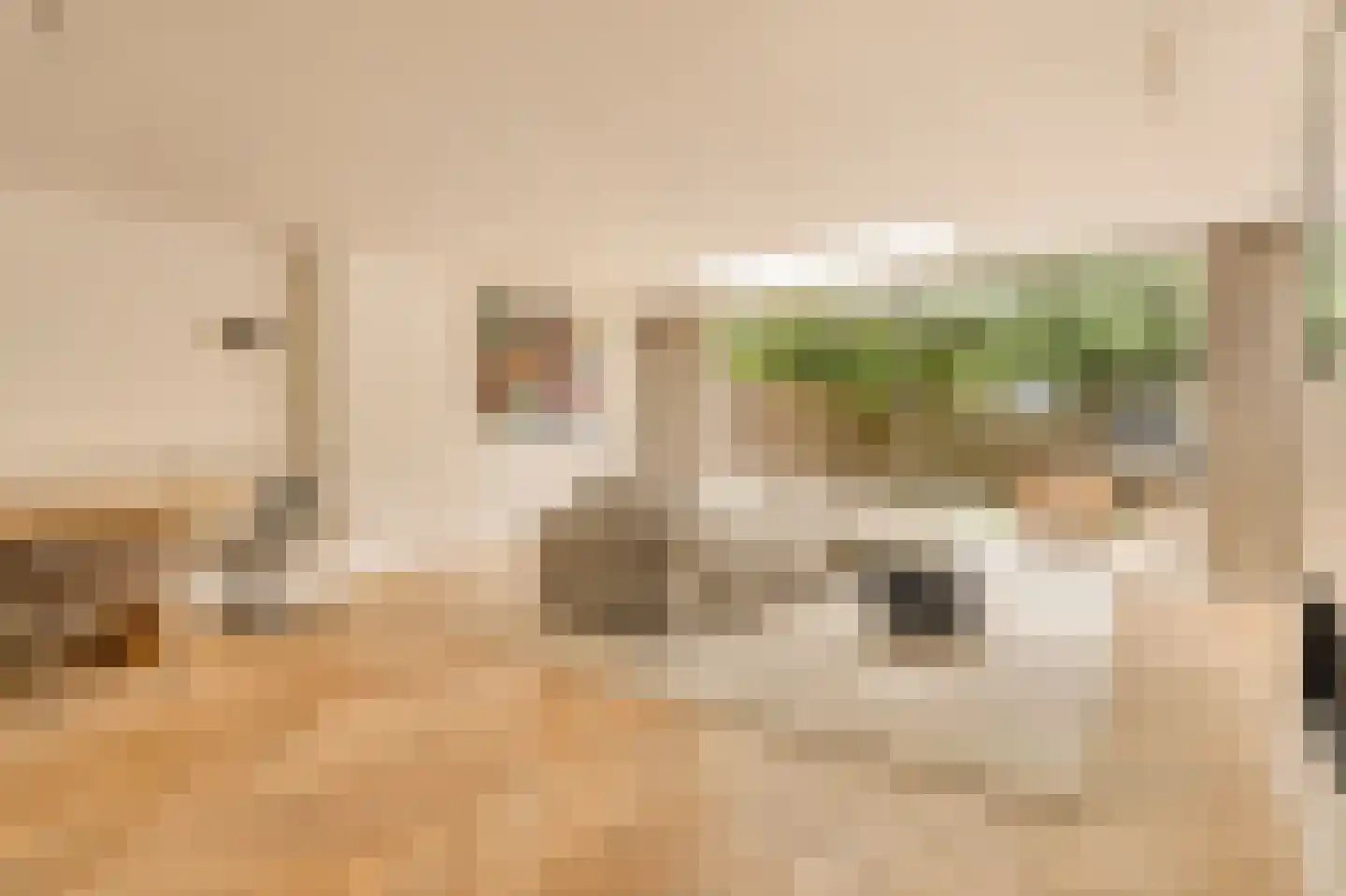 Hillenraadt 32 Amsterdam thumbnail 9