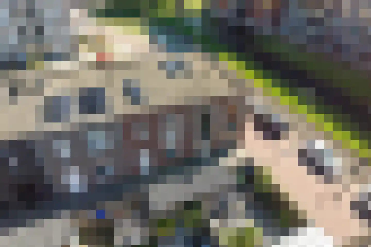 Hillenraadweg 6 Den Haag thumbnail 44