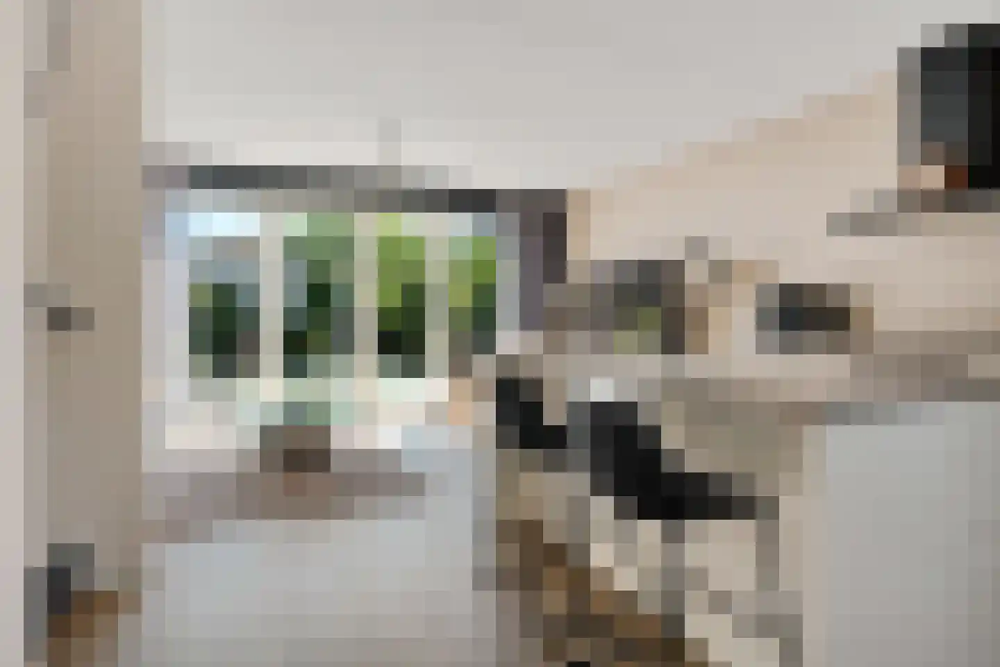 Hillenraadweg 6 Den Haag thumbnail 8