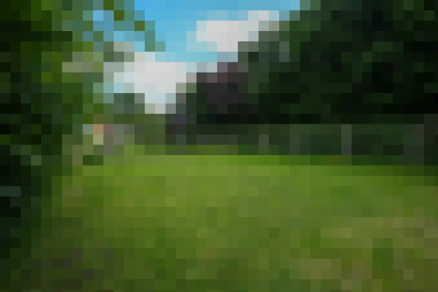 Hilleshagerweg 12 Mechelen thumbnail 18