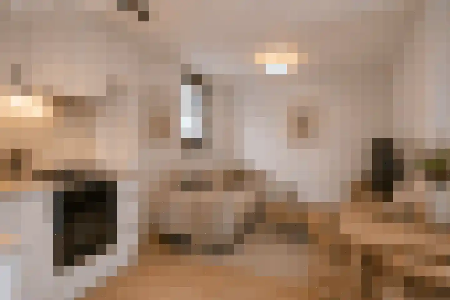 Hilleshagerweg 12 Mechelen thumbnail 5