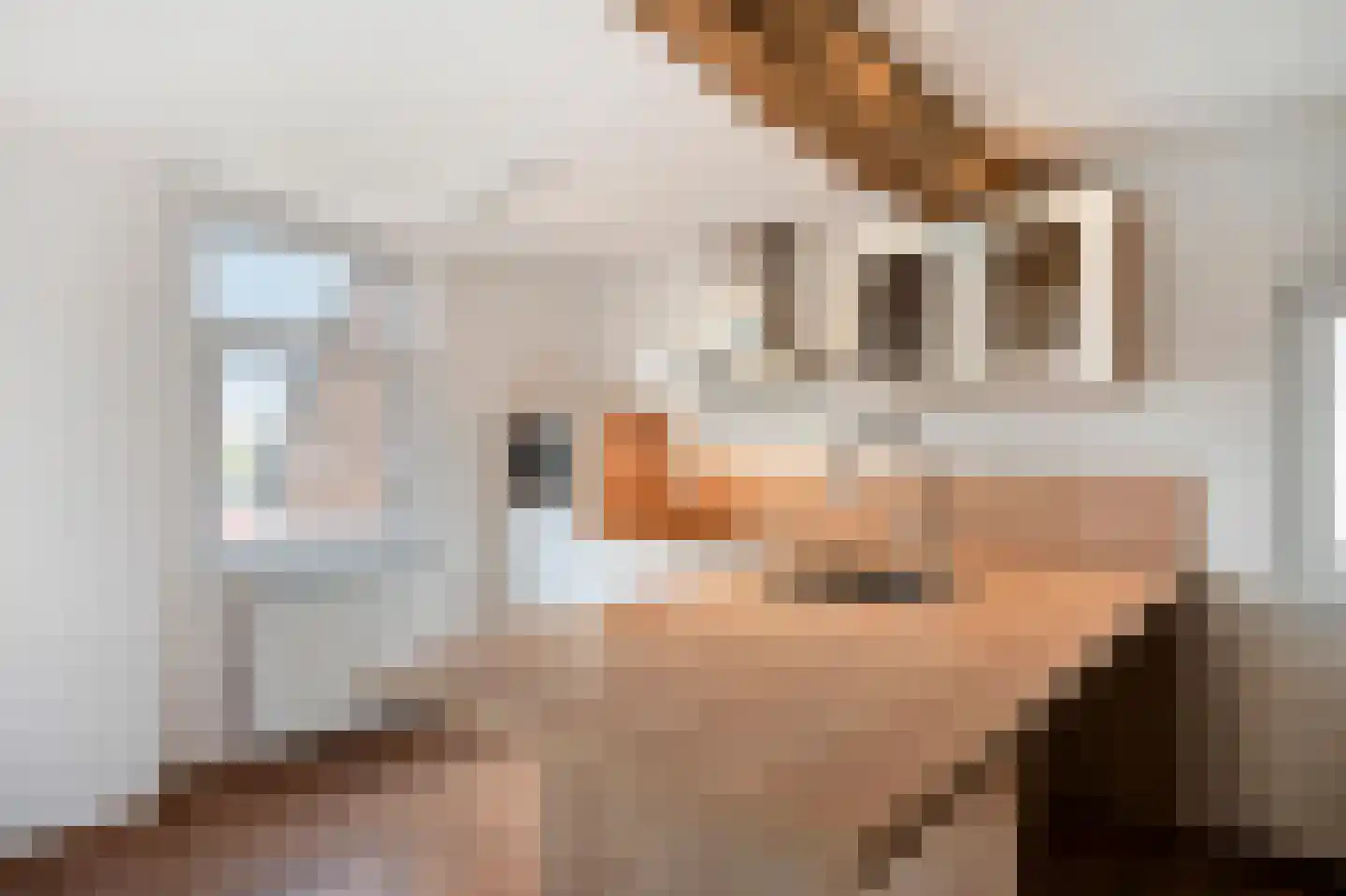 Hilleshagerweg 2 Mechelen thumbnail 10