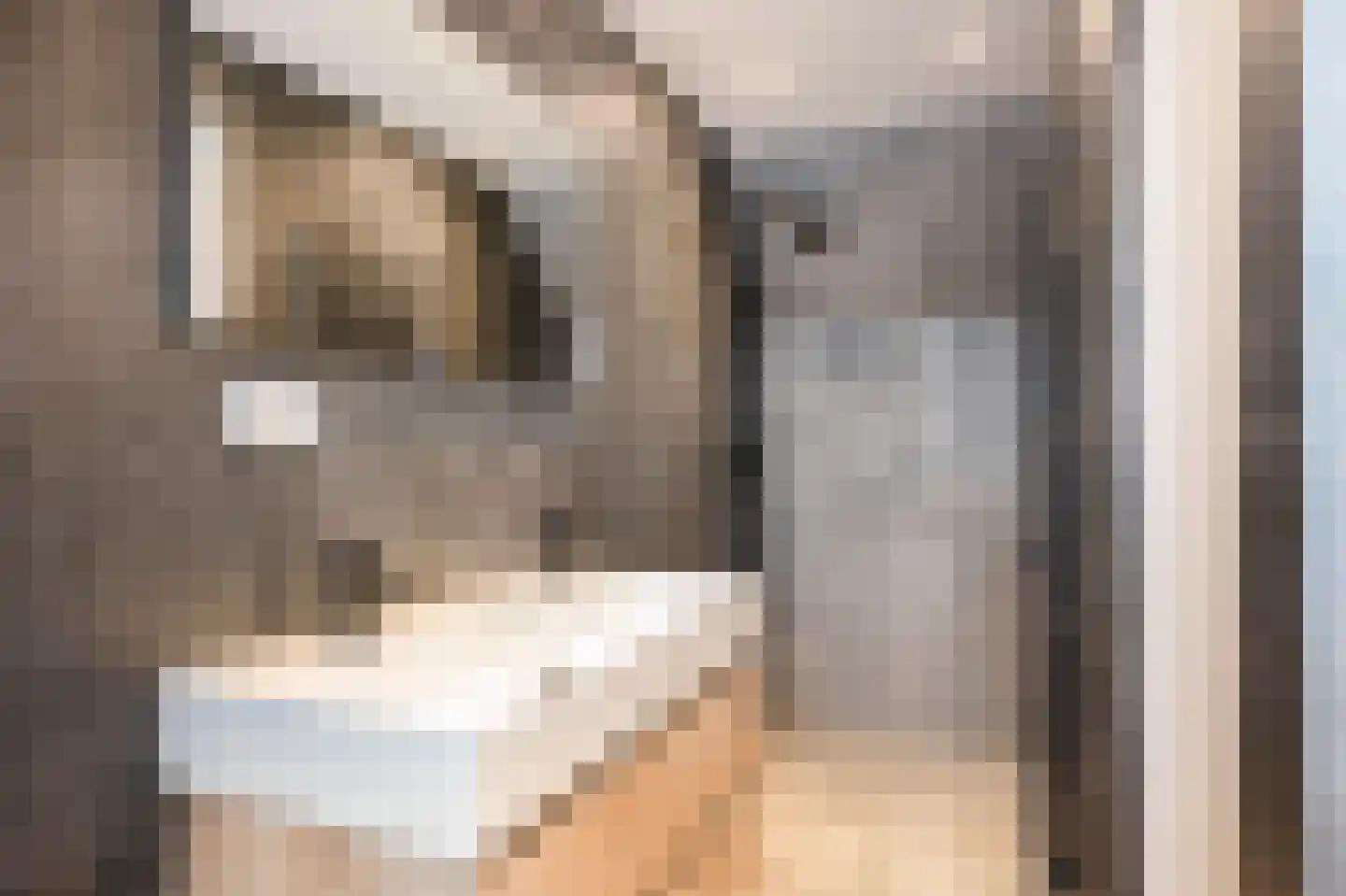 Hilleshagerweg 2 Mechelen thumbnail 32