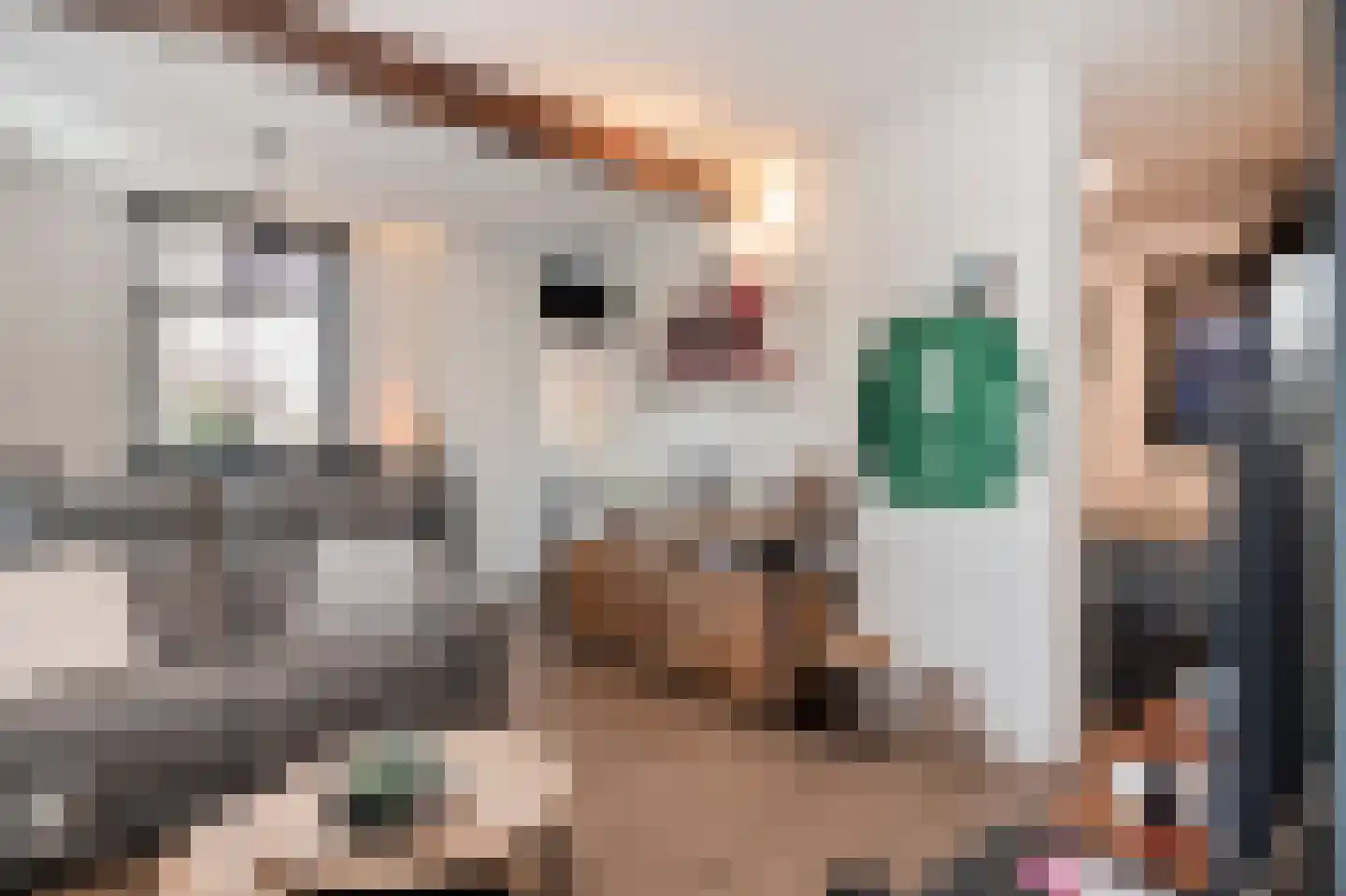 Hilleshagerweg 2 Mechelen thumbnail 41