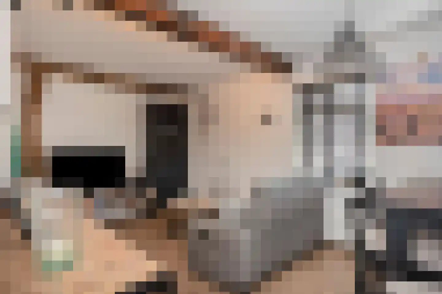 Hilleshagerweg 2 Mechelen thumbnail 43