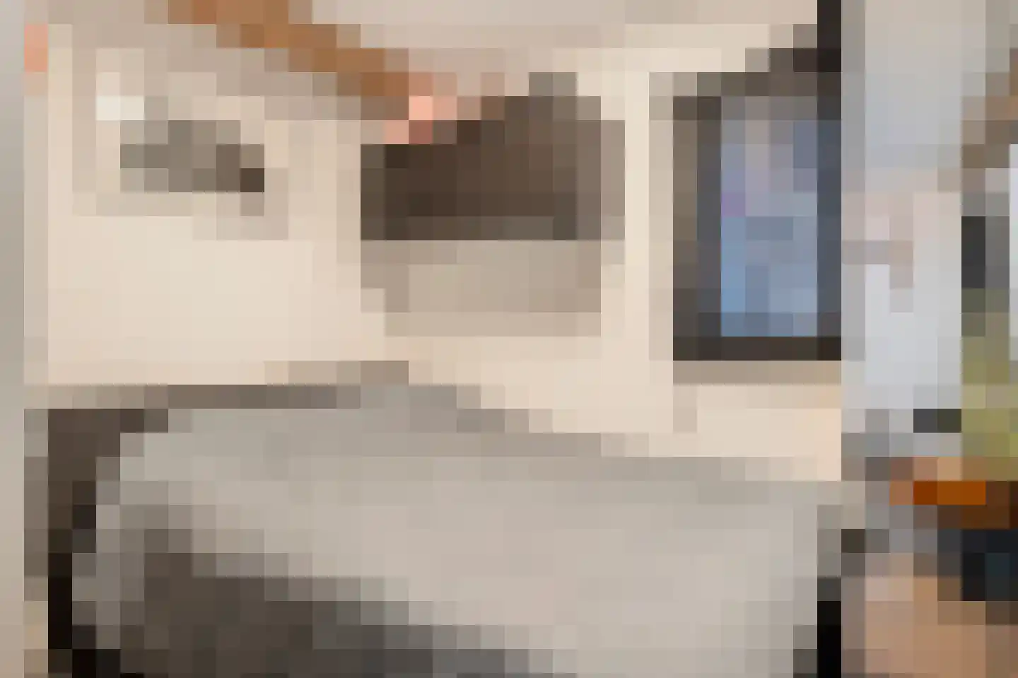 Hilleshagerweg 2 Mechelen thumbnail 46