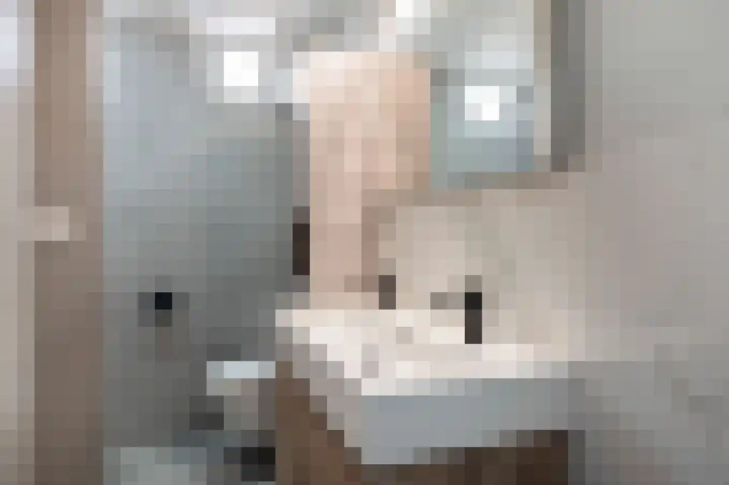 Hilleshagerweg 2 Mechelen thumbnail 47