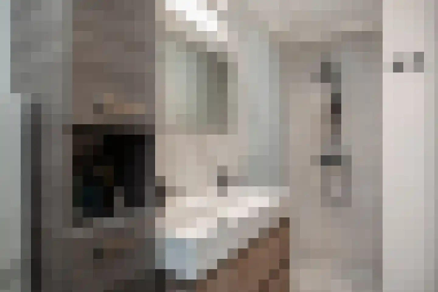 Hilleshagerweg 2 Mechelen thumbnail 48