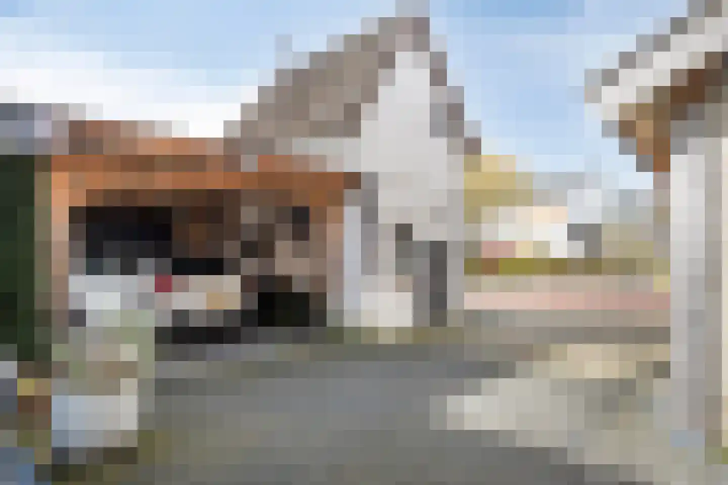 Hilleshagerweg 2 Mechelen thumbnail 49