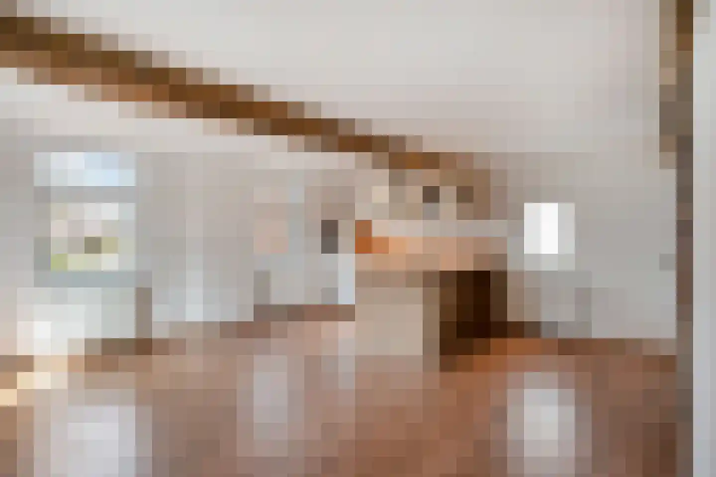 Hilleshagerweg 2 Mechelen thumbnail 8