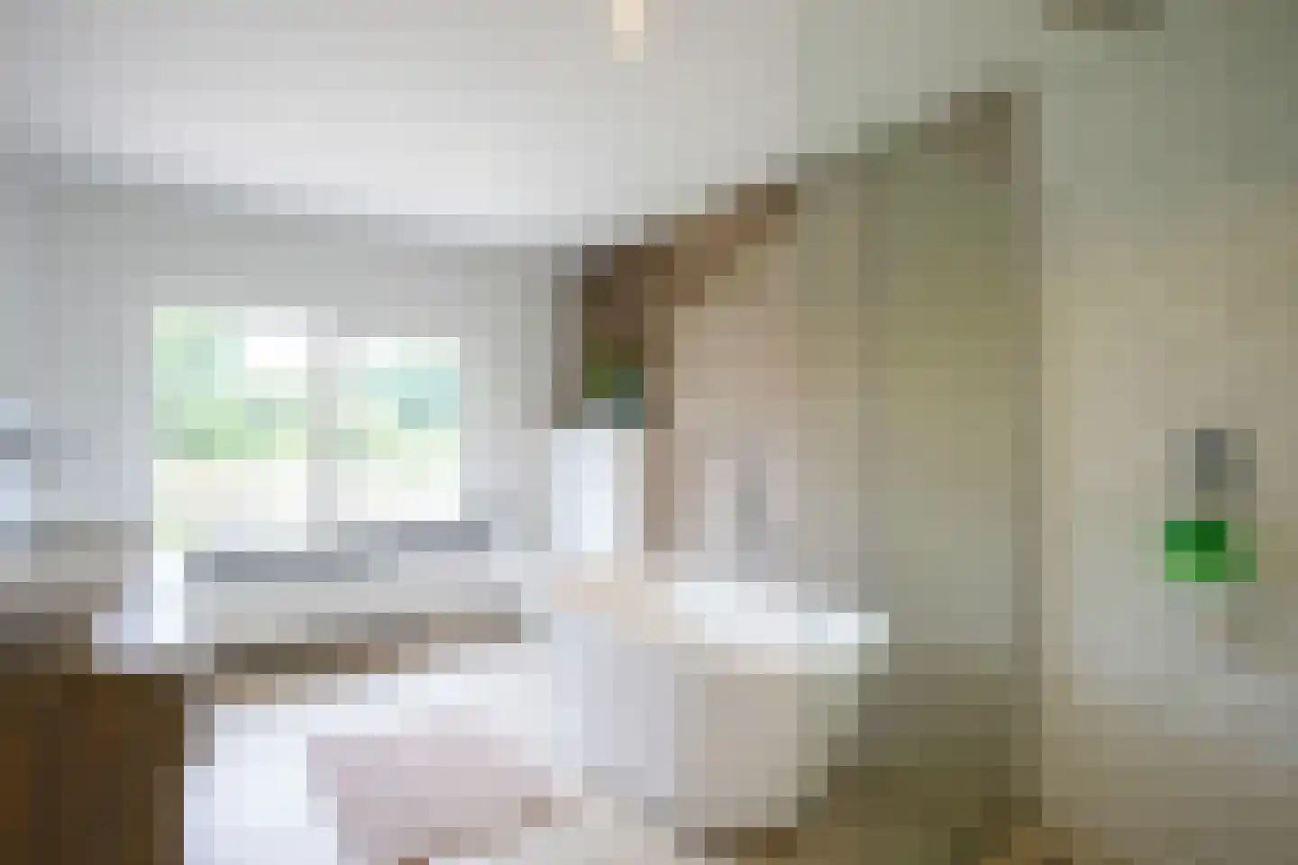 Hilleshagerweg 22 Mechelen thumbnail 12