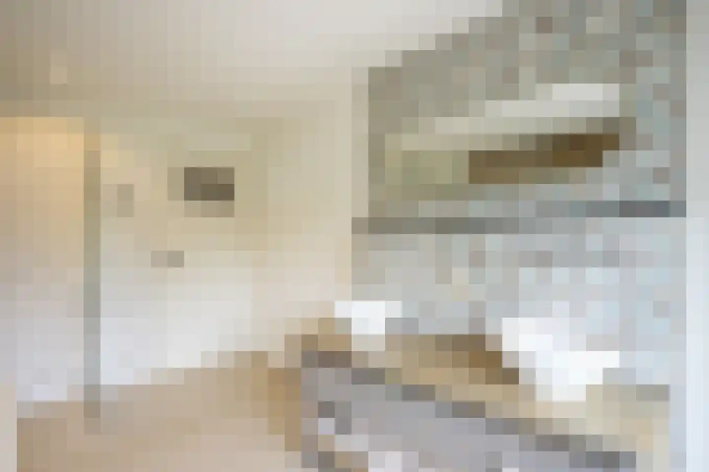 Hilleshagerweg 22 Mechelen thumbnail 13
