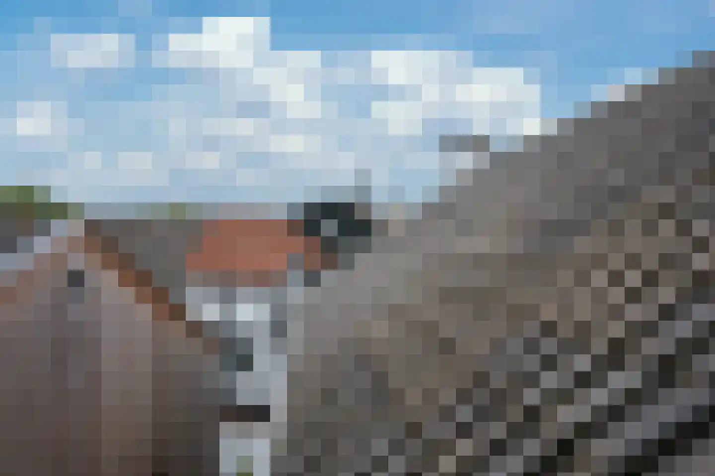 Hilleshagerweg 22 Mechelen thumbnail 14