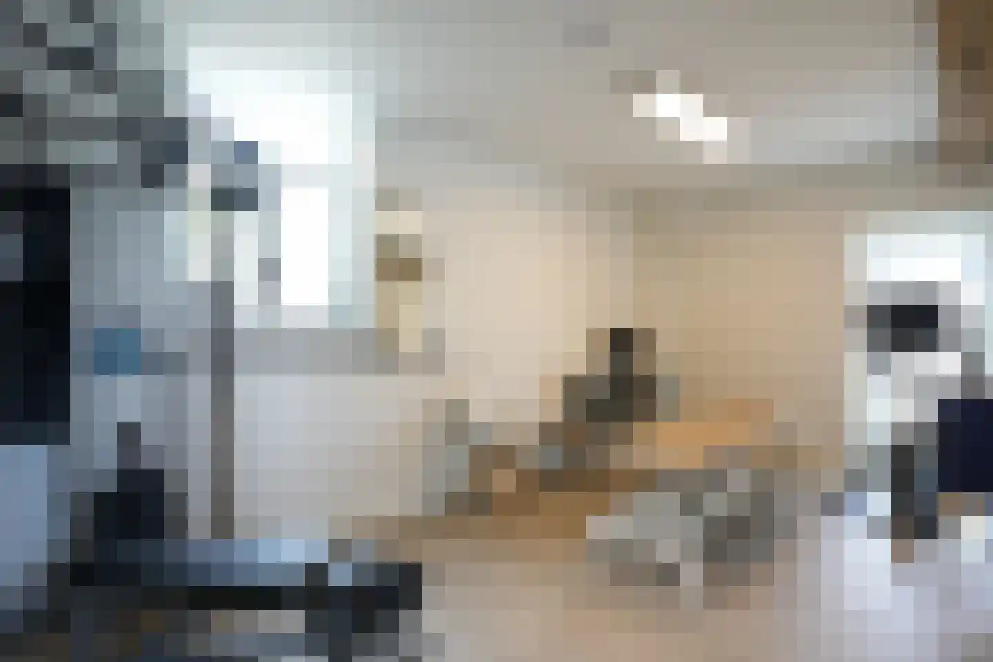 Hilleshagerweg 22 Mechelen thumbnail 16
