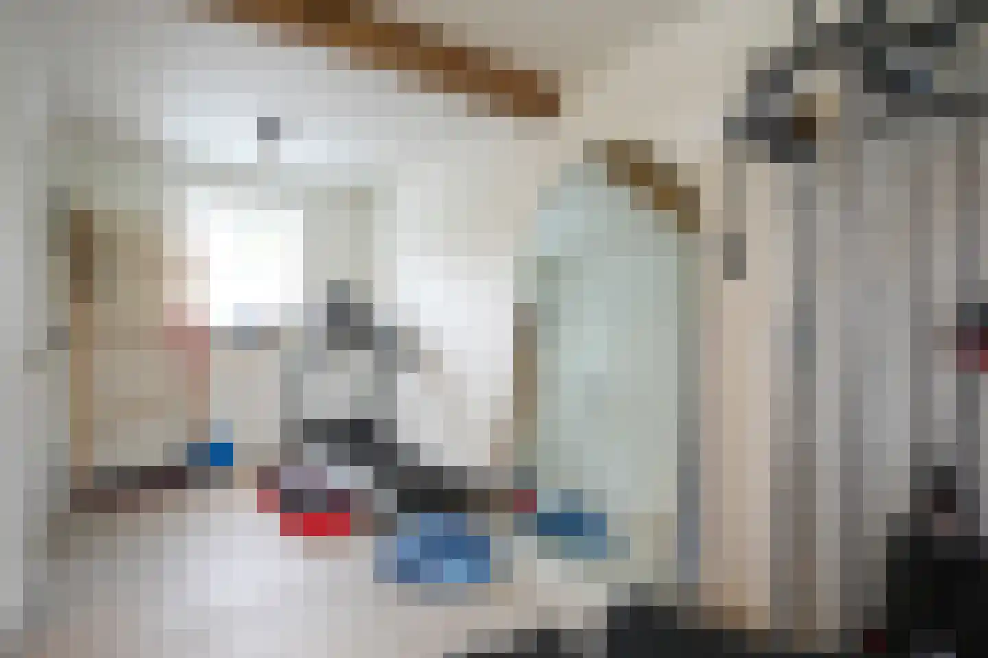 Hilleshagerweg 22 Mechelen thumbnail 17