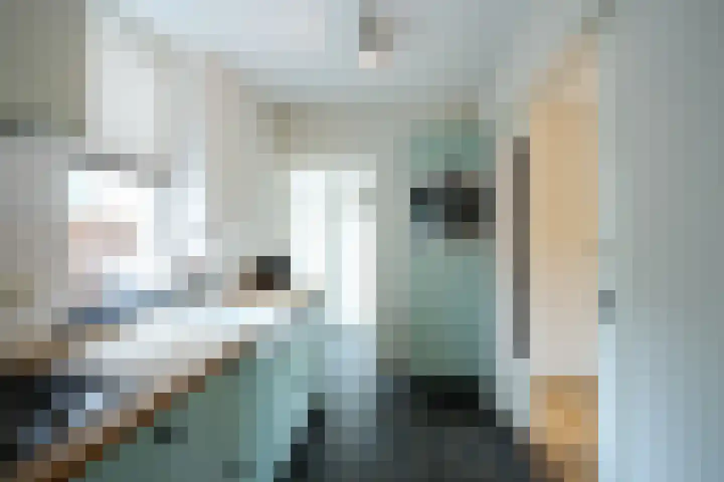 Hilleshagerweg 22 Mechelen thumbnail 8