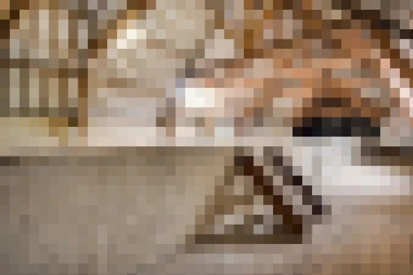 Hilleshagerweg 5 Mechelen thumbnail 14