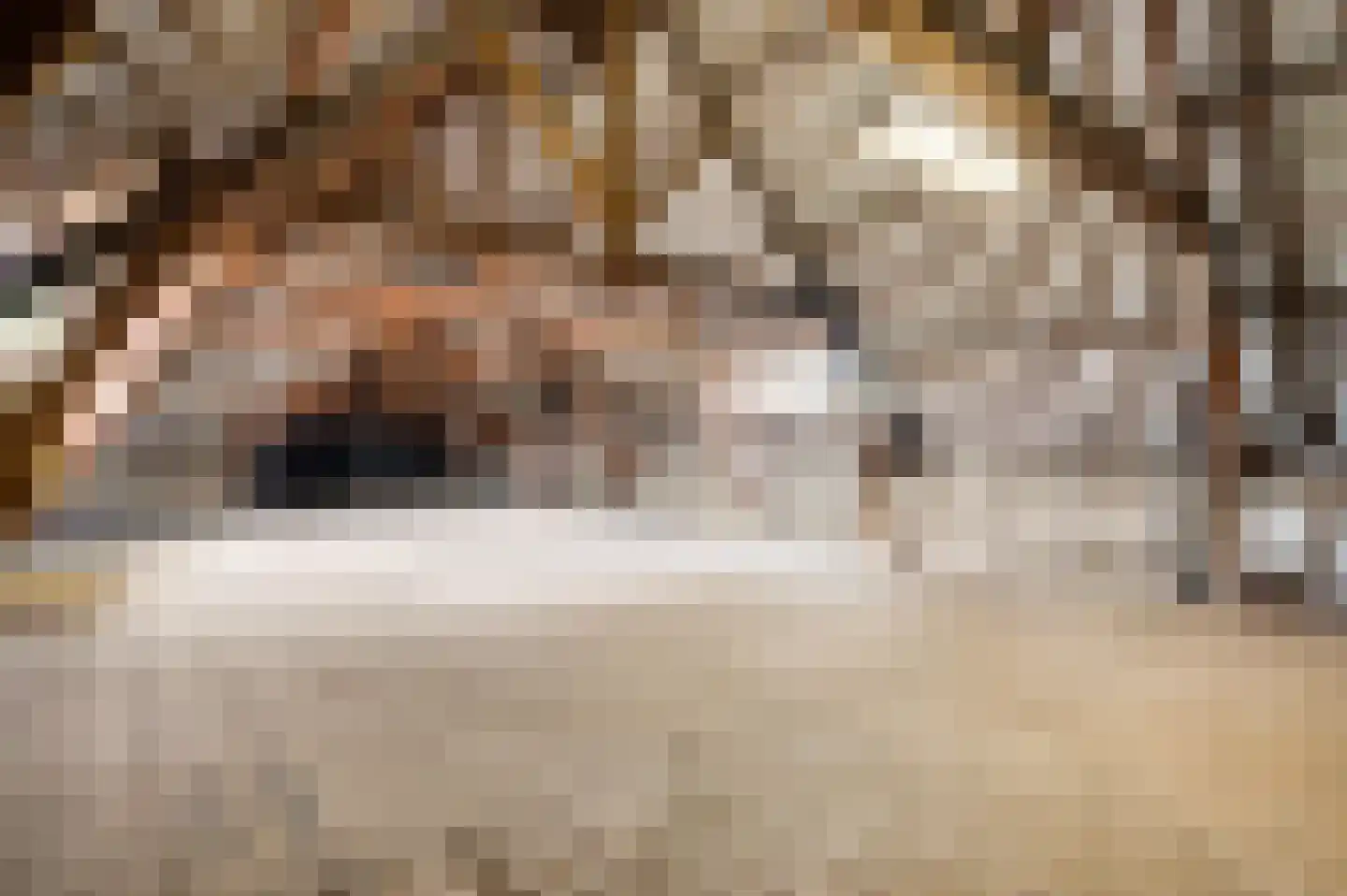 Hilleshagerweg 5 Mechelen thumbnail 15