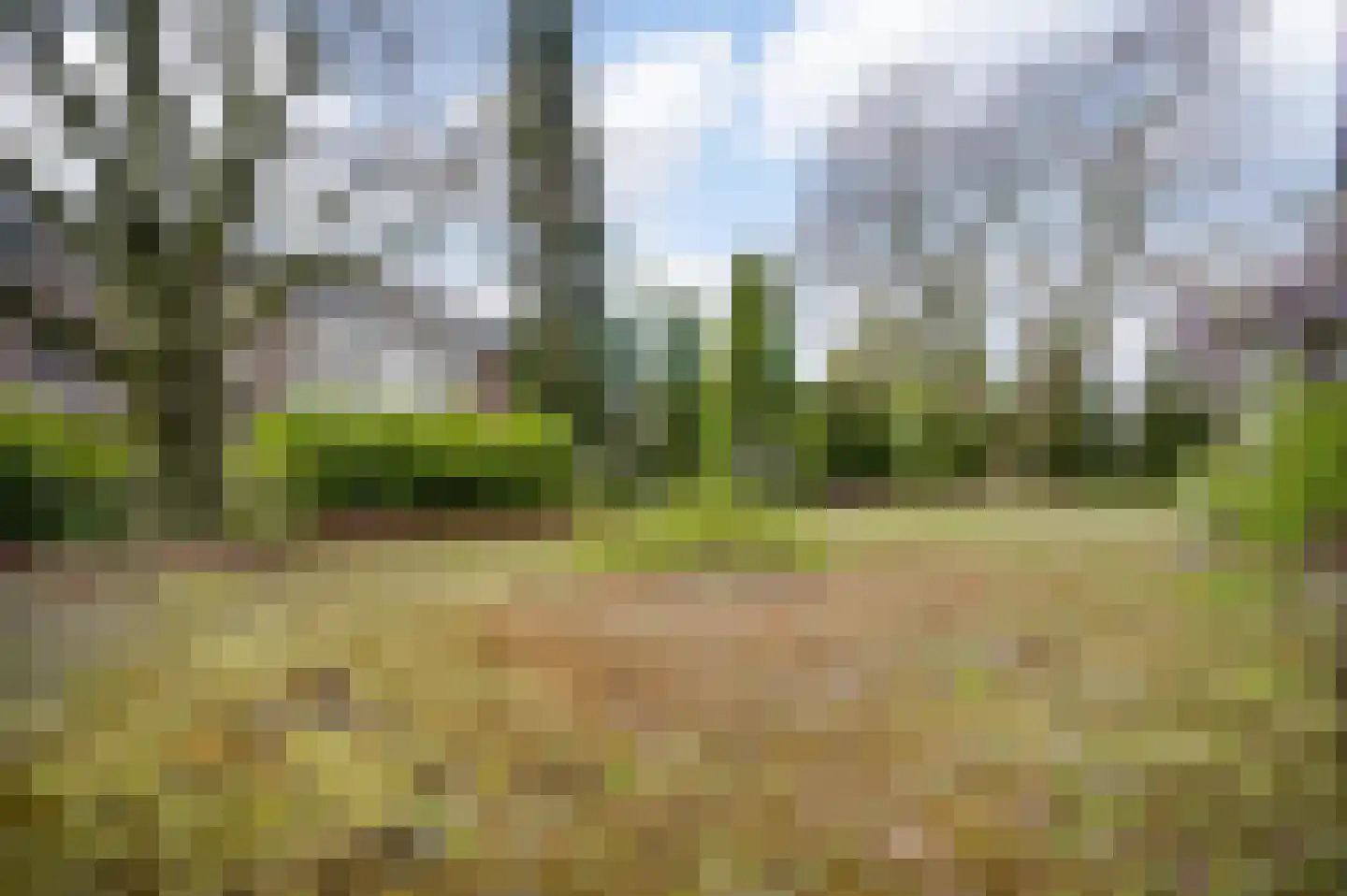 Hilleshagerweg 5 Mechelen thumbnail 18