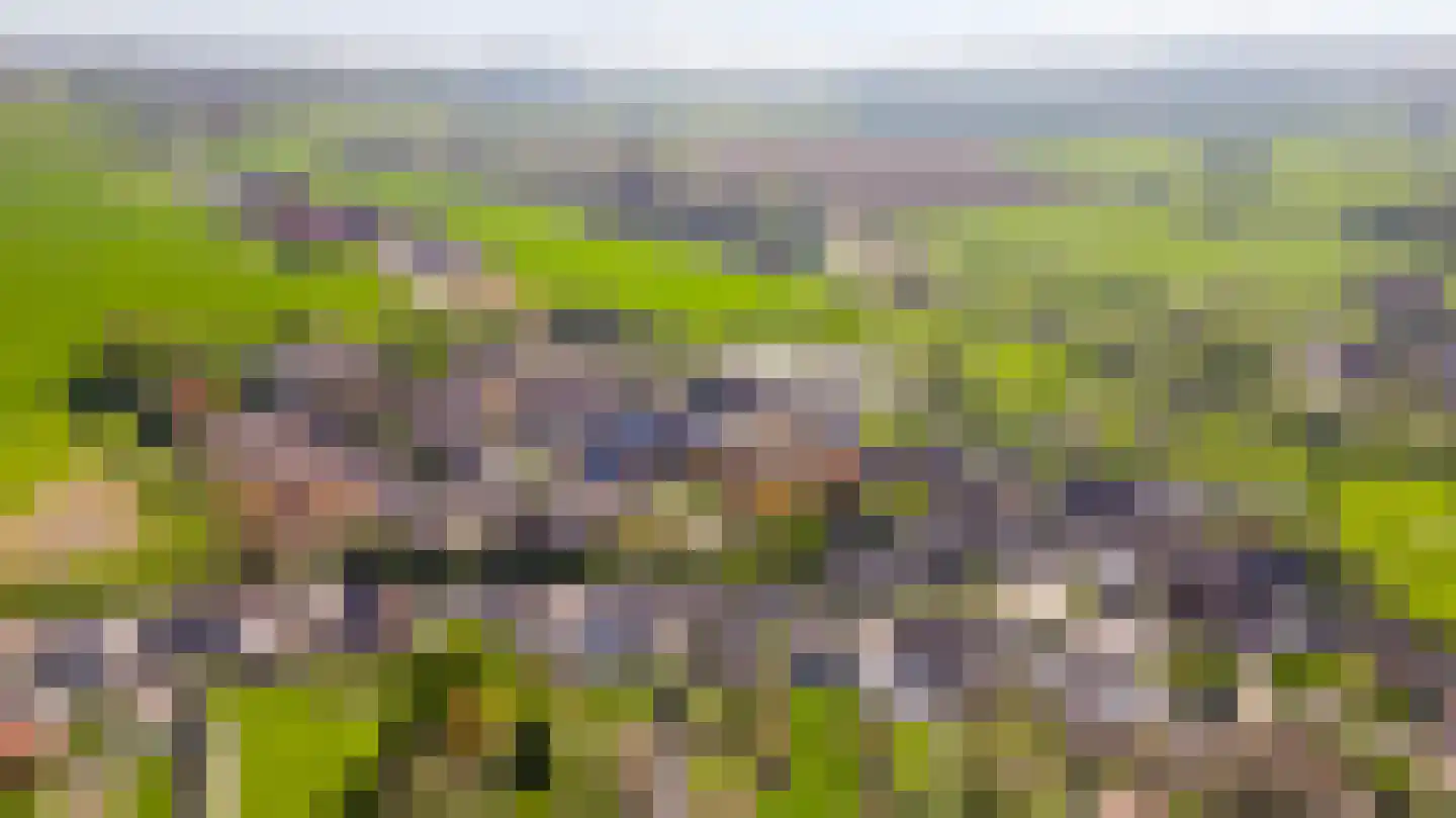 Hilleshagerweg 5 Mechelen thumbnail 27