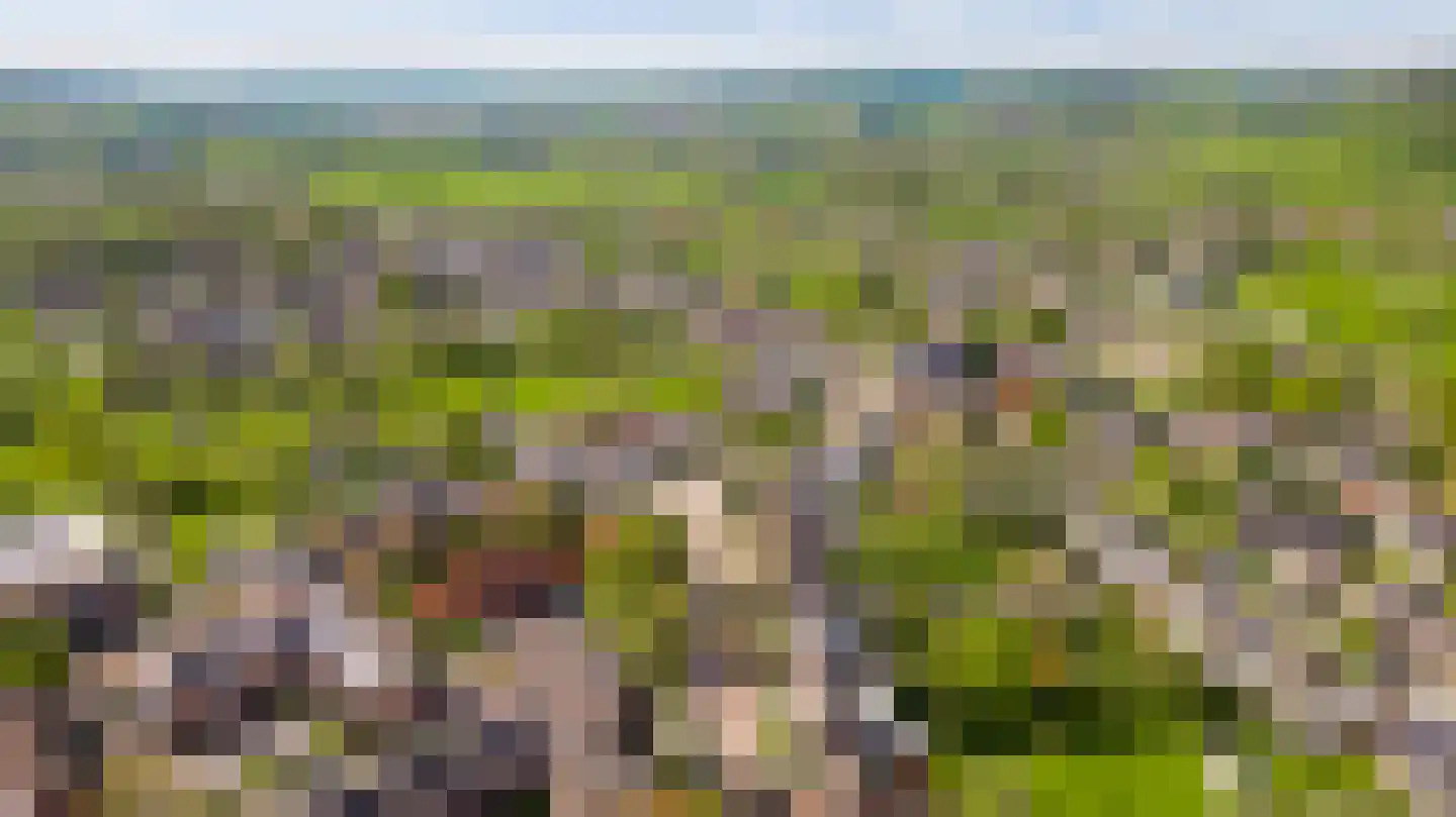 Hilleshagerweg 5 Mechelen thumbnail 28