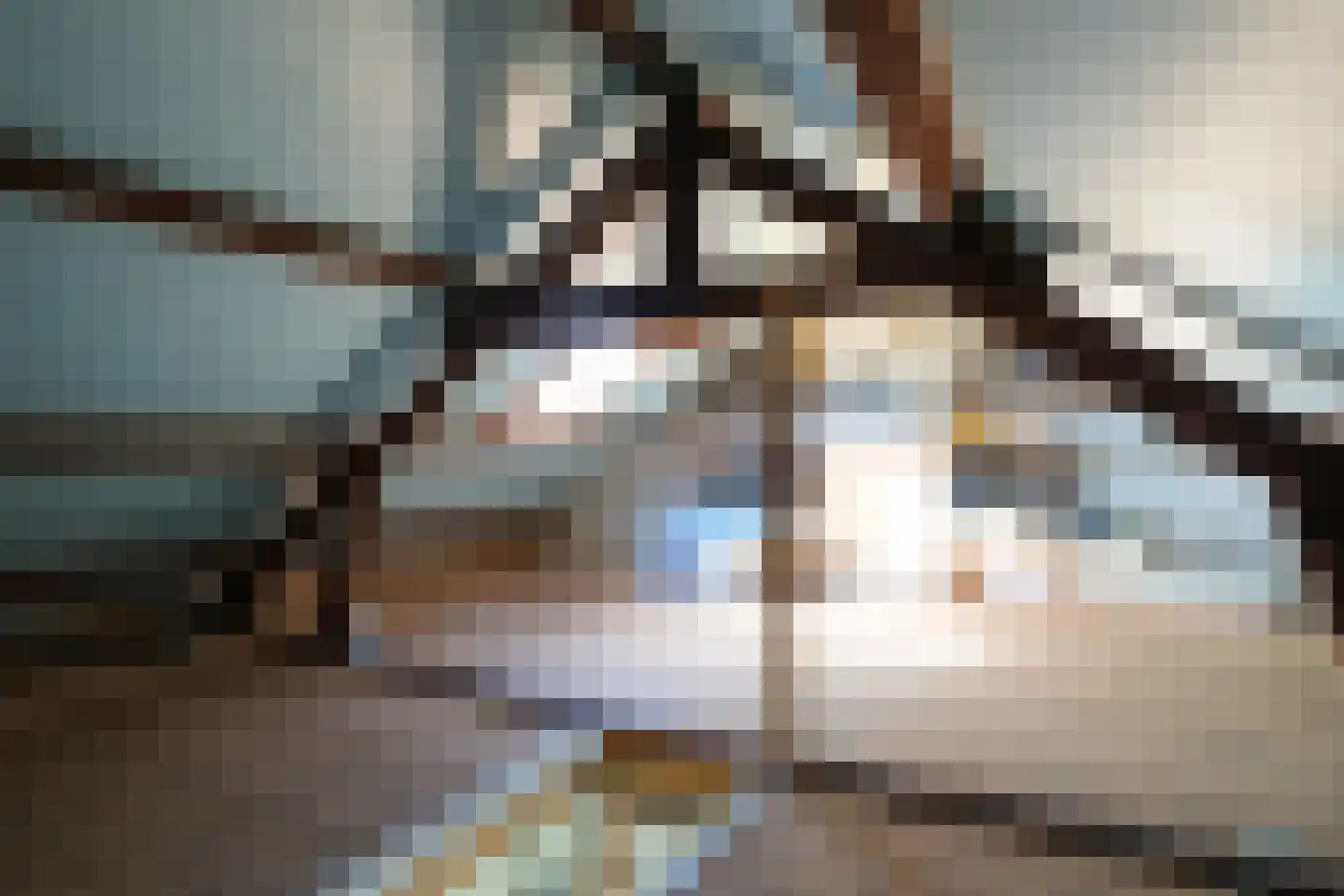 Hilleshagerweg 90 Mechelen thumbnail 22