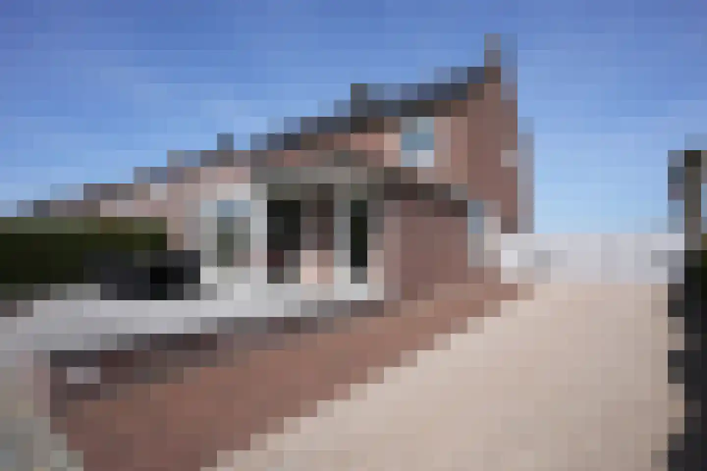 Hilleshagerweg 90 Mechelen thumbnail 31