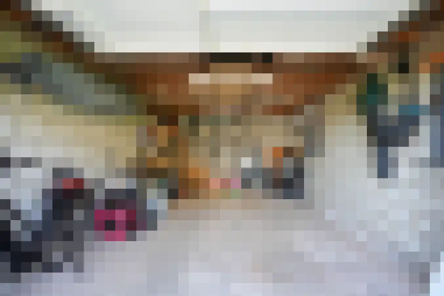 Hilleshagerweg 90 Mechelen thumbnail 38