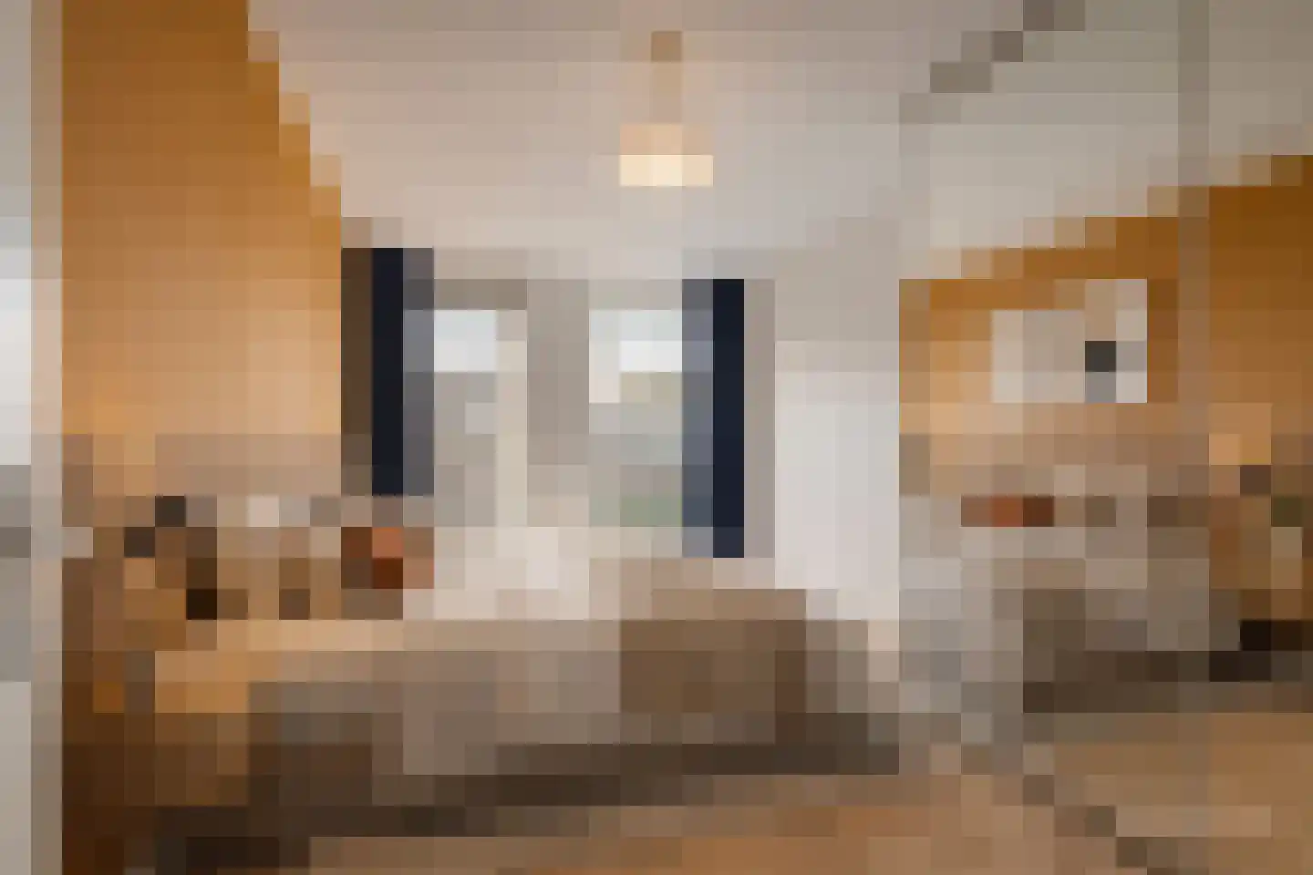Hillestraat 30 Rotterdam thumbnail 16