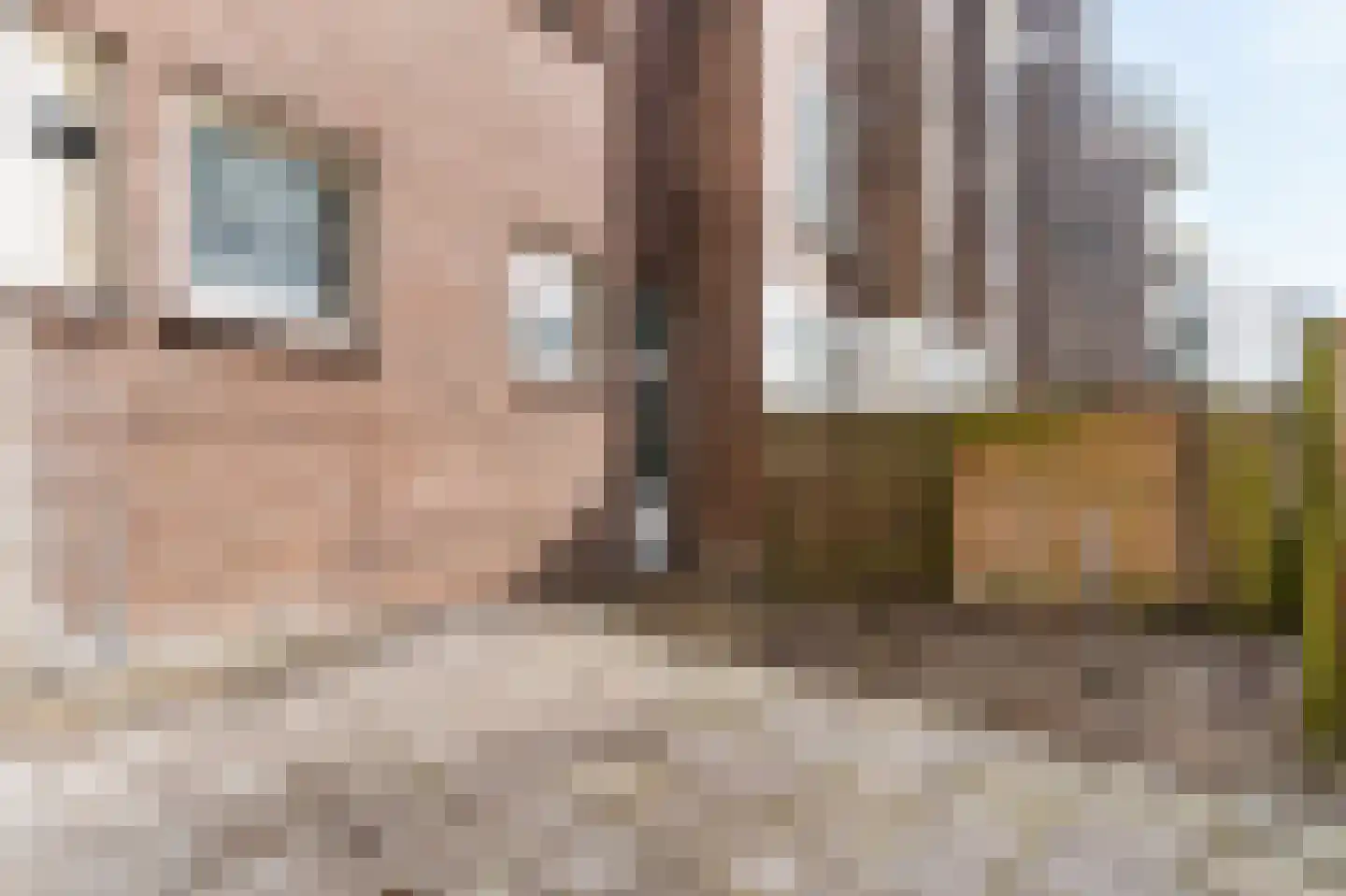 Hillevliet 16 B 02 Rotterdam thumbnail 31