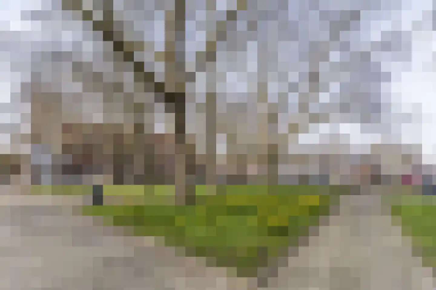 Hillevliet 16 B 03 Rotterdam thumbnail 35