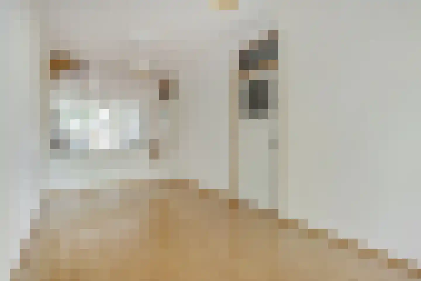 Hillevliet 36 A Rotterdam thumbnail 10