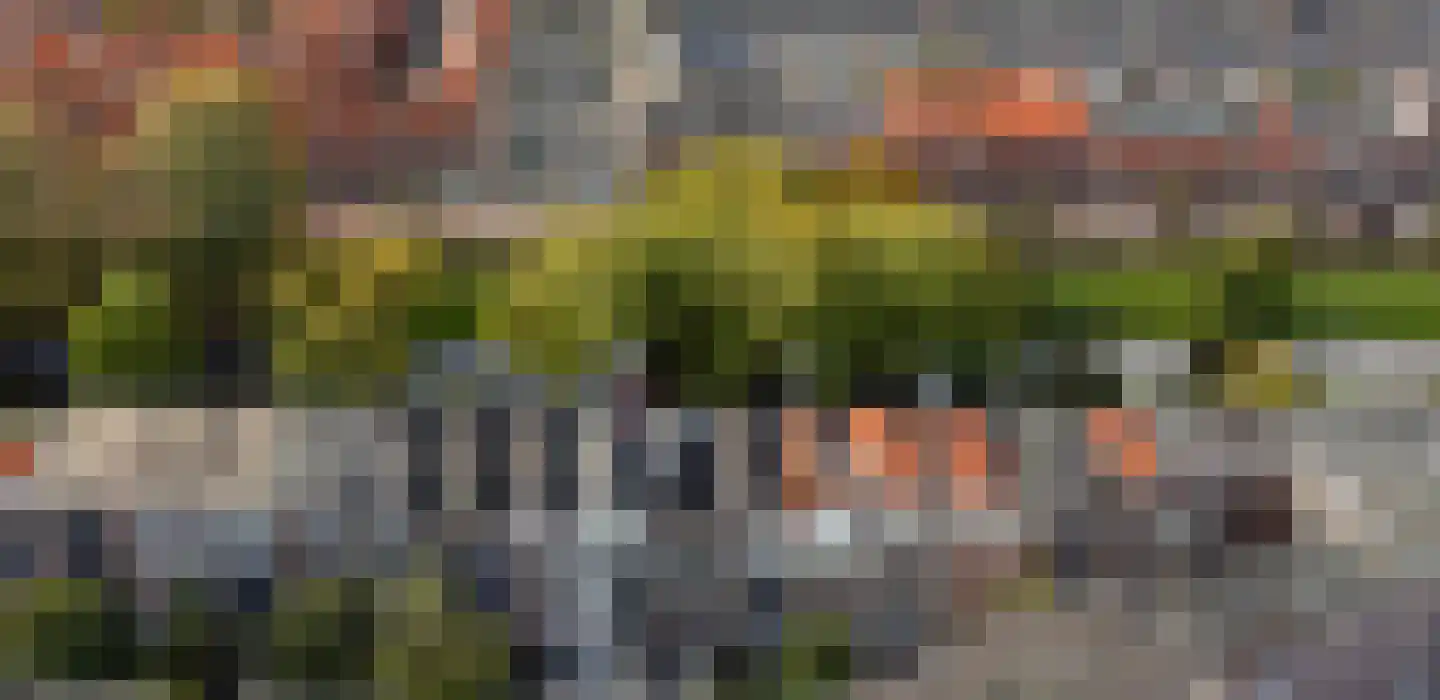 Hillevliet 36 A Rotterdam thumbnail 27