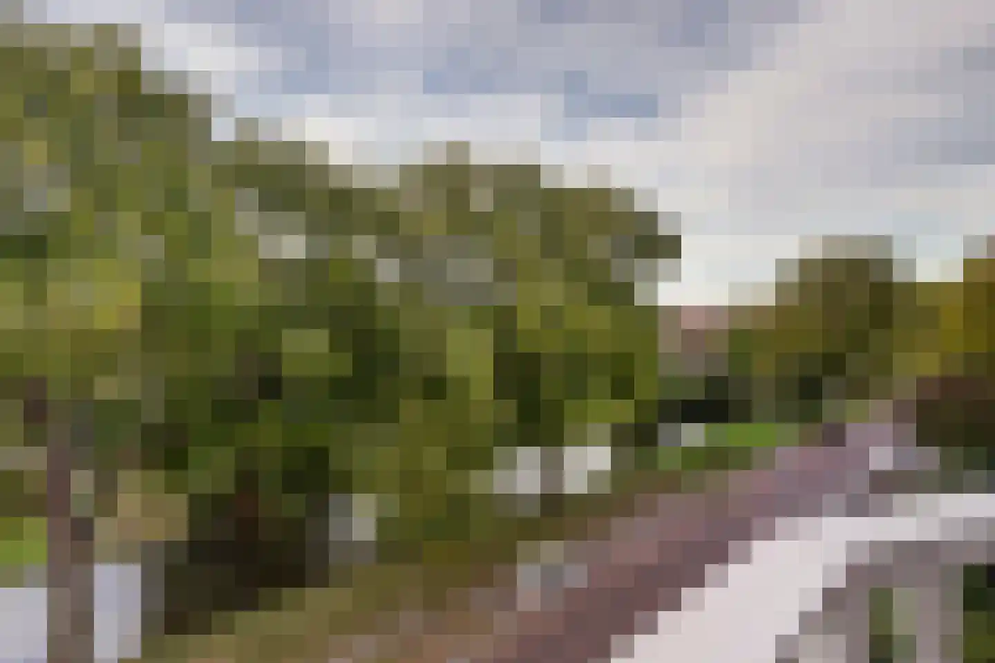 Hillevliet 36 B Rotterdam thumbnail 22