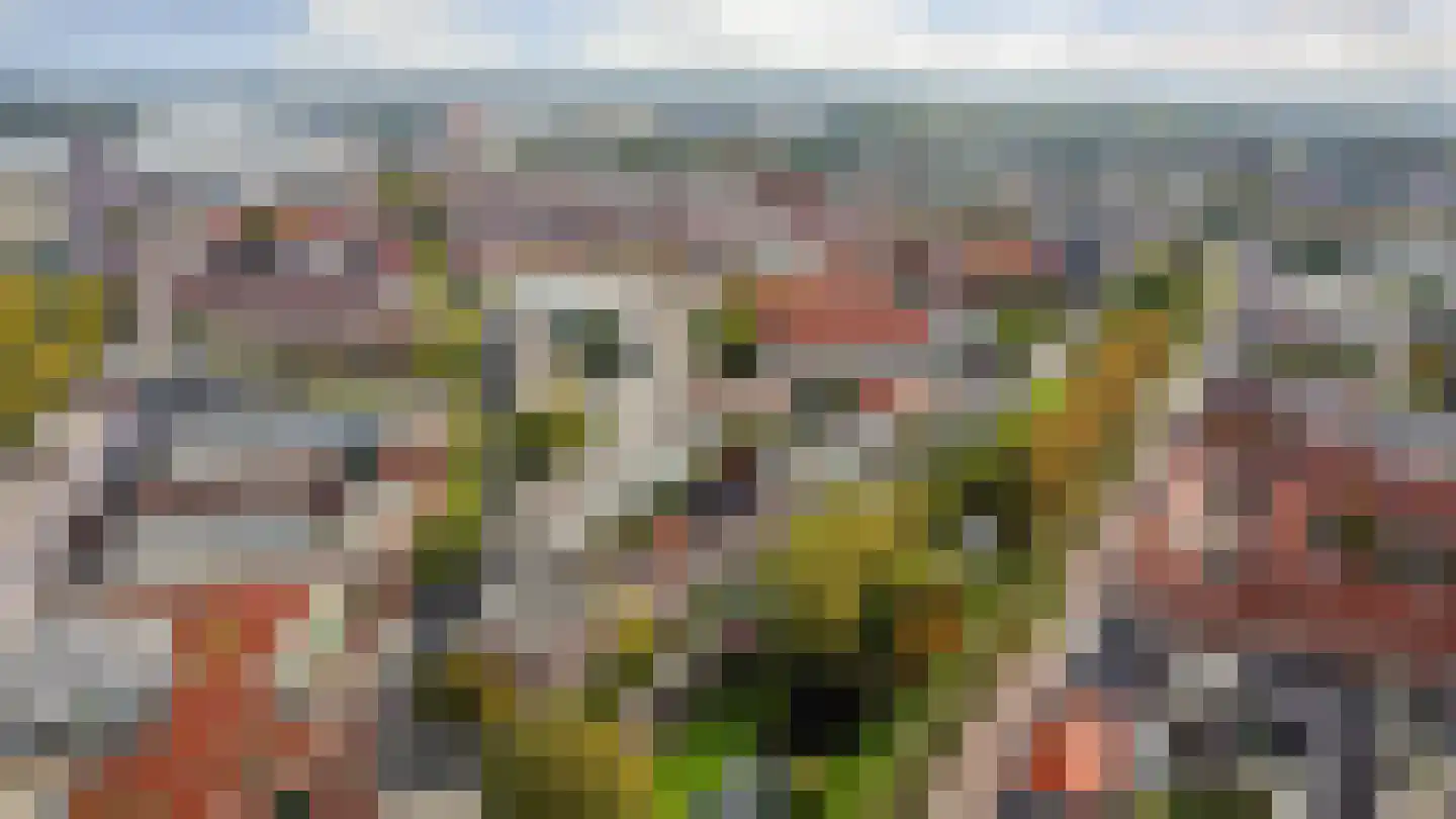 Hillevliet 36 B Rotterdam thumbnail 25
