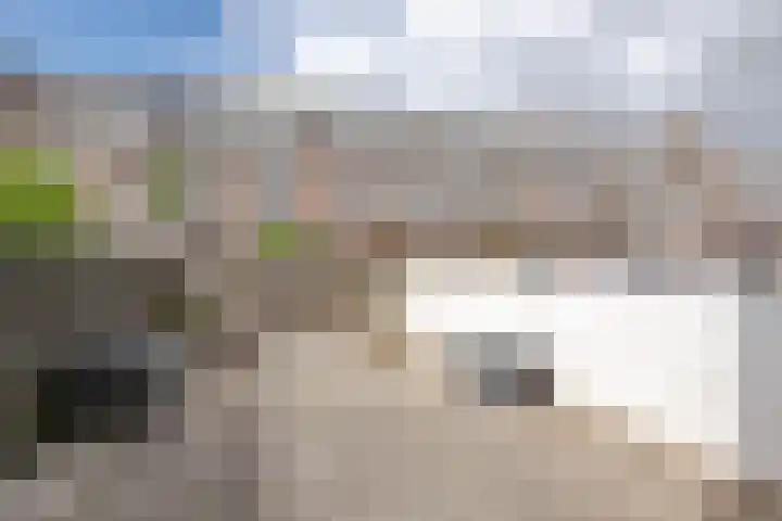 Hillevliet 39 Rotterdam thumbnail 19
