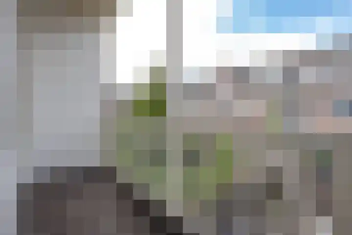 Hillevliet 39 Rotterdam thumbnail 30