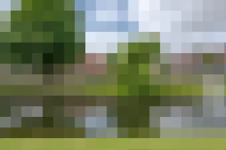Hillevliet 39 Rotterdam thumbnail 39