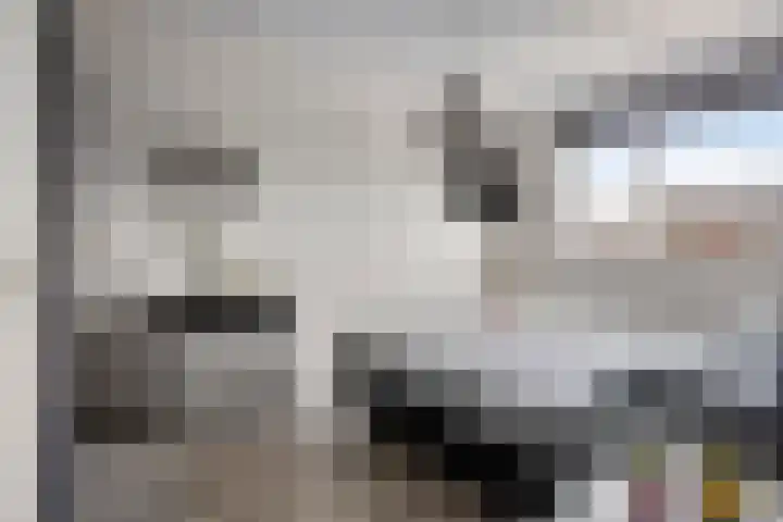 Hilleweg 5 Goes thumbnail 16