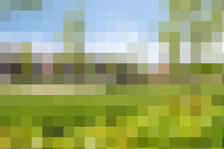 Hilleweg 5 Goes thumbnail 6