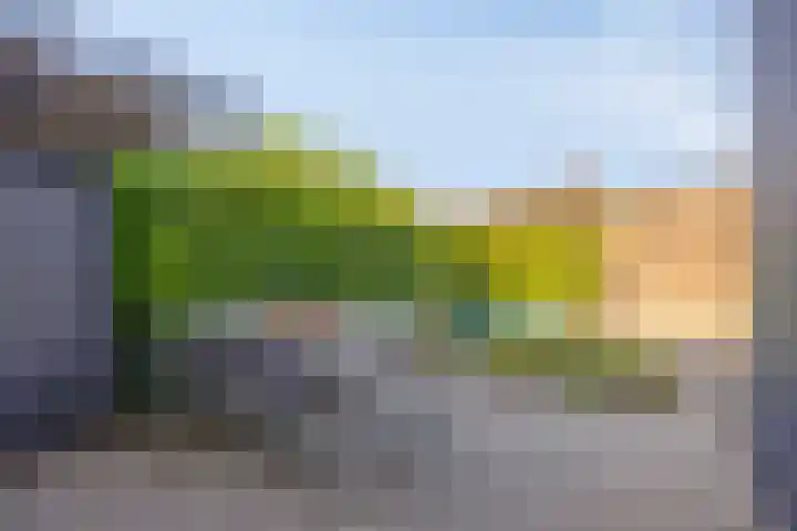Hilleweg 52 Goes thumbnail 24