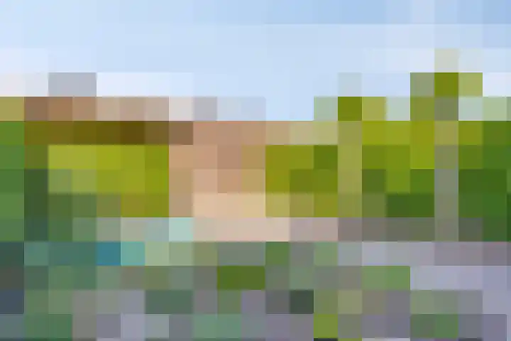 Hilleweg 52 Goes thumbnail 26