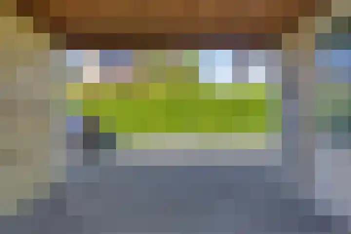 Hilleweg 52 Goes thumbnail 28