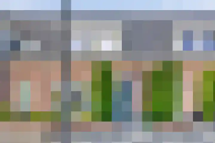 Hilleweg 52 Goes thumbnail 5